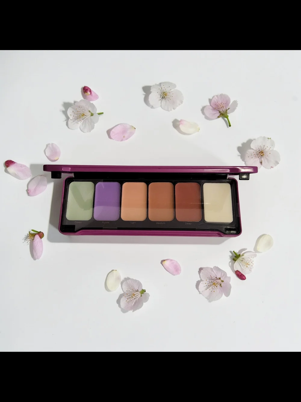 Multi-Tone Correcting Concealer Palette - Pink Case, 6 Shades